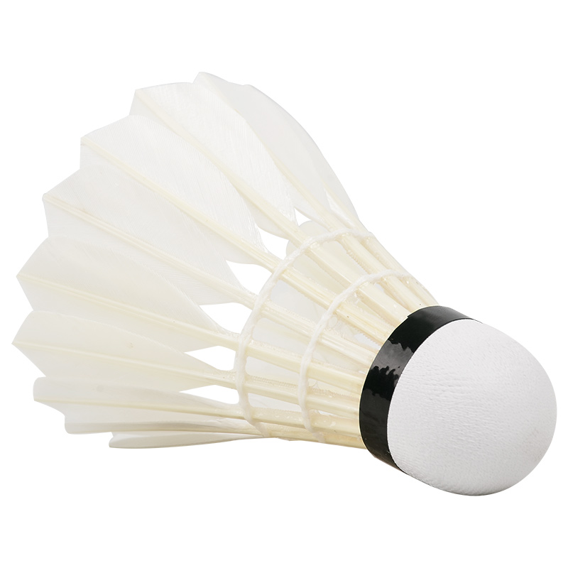 Nowe 12 sztuk profesjonalne pi – Badminton Event recenzja i cena